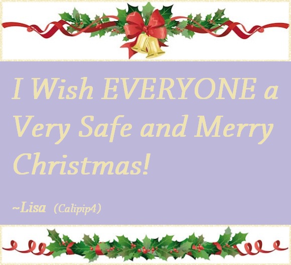 I wish everyone a very safe and merry Christmas